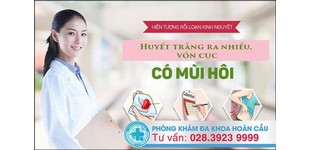 Tiêu đề không dấu