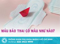 Tiêu đề không dấu