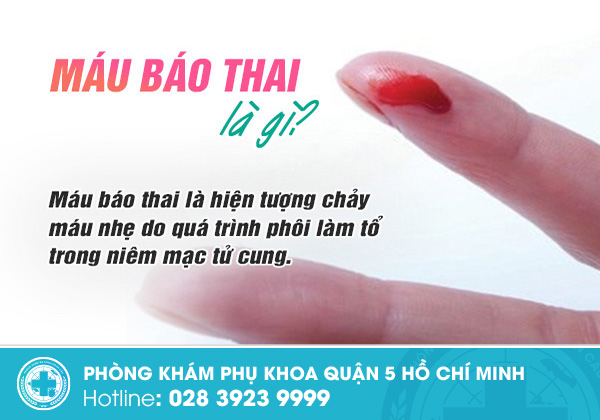 Những sự thật về máu báo thai mà phụ nữ cần lưu tâm