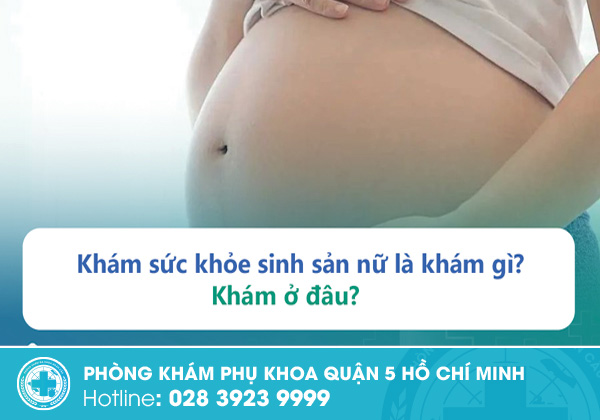 Khám sinh sản cho nữ là khám những gì? Thời điểm nên khám sinh sản